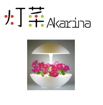 AKARINA